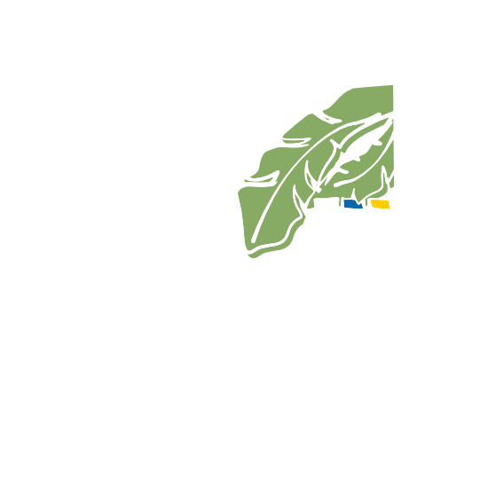MY GREEN CANARIA